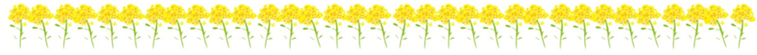 菜の花ライン.png